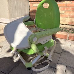 Chicco Toddler Seat