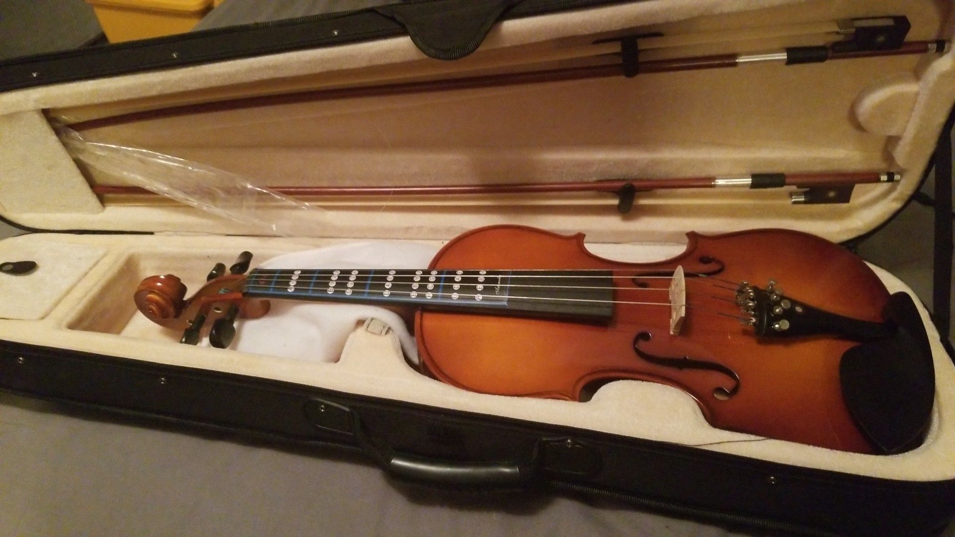 Violin-cecilio cvc300