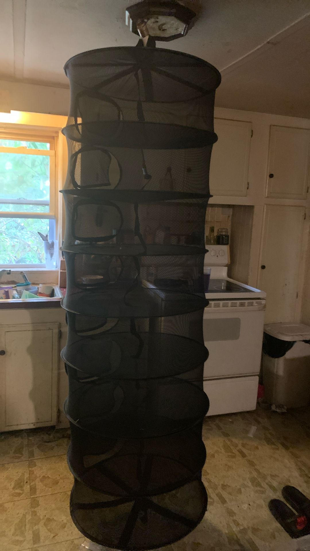 Drying Rack