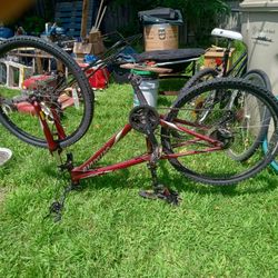 Giant Specialized Bicycle 
