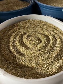 Bulk Chicken Feed All Flock & Layer Feed