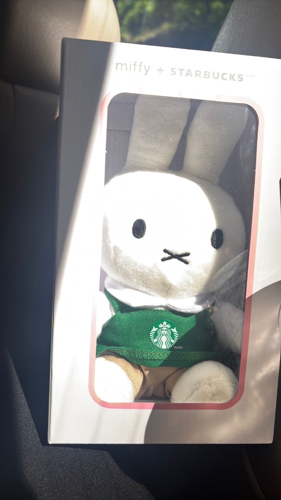 MIFFY STARBUCKS