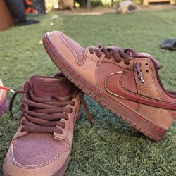 Nike sb