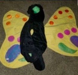 Butterfly Costume