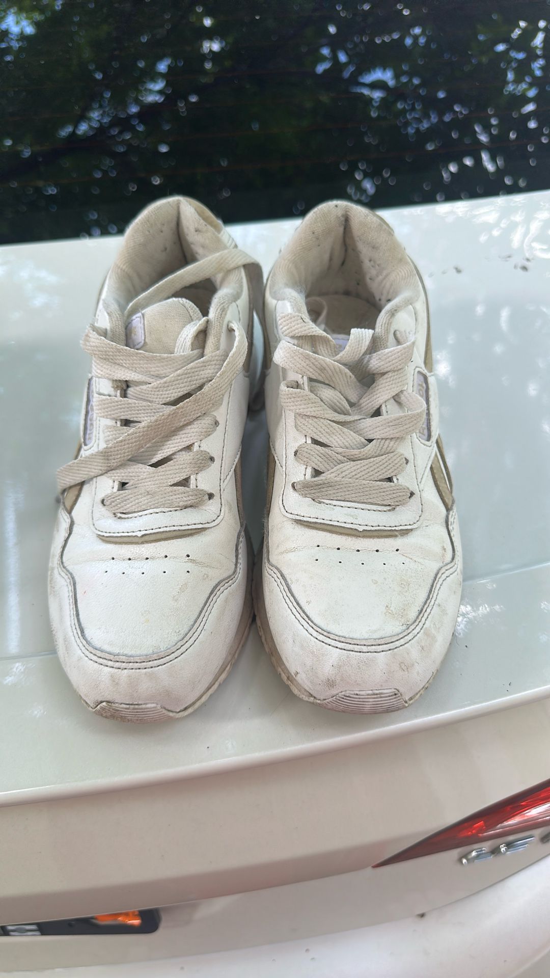Women Reebok