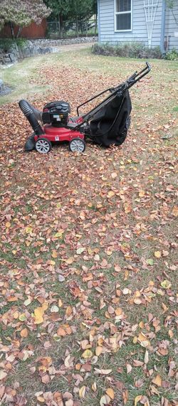 Leaf vacuum