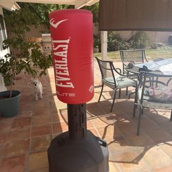 Everlast Elite Free Standing Heavy bag