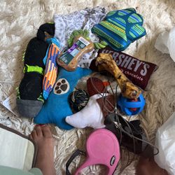 Dog Toys And Accessories Bundle