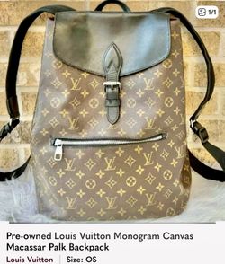 Louis Vuitton Macassar Back Pack 