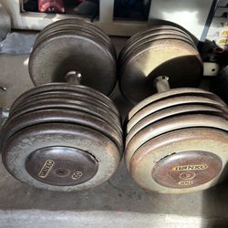 100 pound dumbbells for sale hotsell