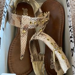 Brash Shoes