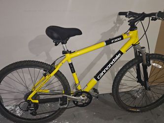 Cannondale F300  - Large Frame