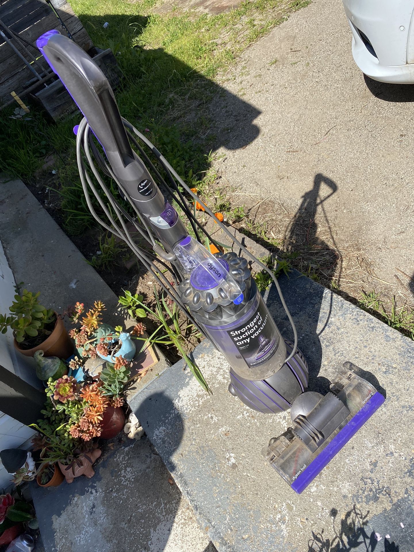 Dyson Vacuum