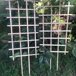 Trellis 24”x48” NEW