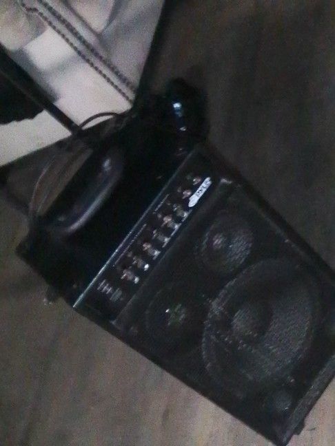 Speaker