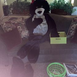 Giant Wolf Animal Costume Worn Only One Time 