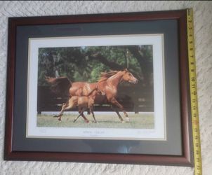 Original James Archambeault Signed " Spring Gallop" Kentucky Landscape Photo .