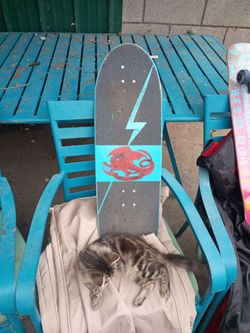 "Powell and Peralta" skateboard..