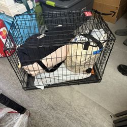 Dog Crate 