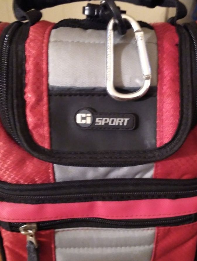 Newer C.I. Sport California Innovations Insulated Lunch Bag