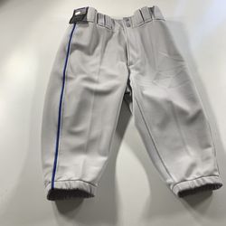 Mizuno Premier Adult Small Baseball Pants Short Knickers Pant Gray Royal