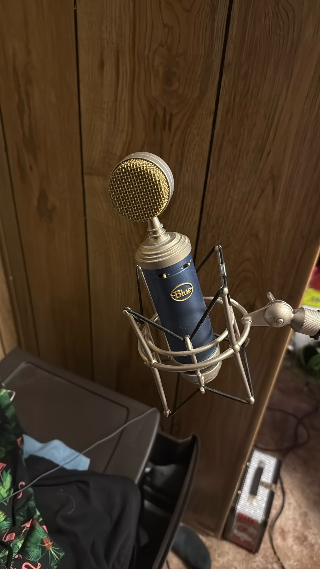Blue Bluebird SL XLR Cardioid Condenser Mic