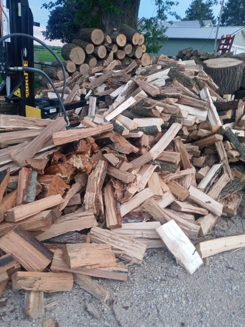 Firewood