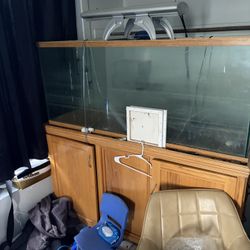 Large Fish Tank w/ Wood Stand & Light – Aquarium Setup