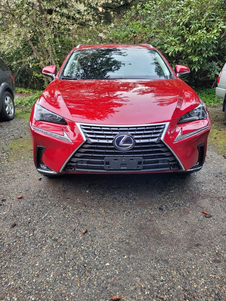 2018 Lexus NX 300h
