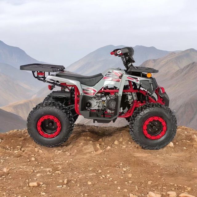 200cc ATV Full Size Adult Dual Disk Brakes , Digital Speedometer
