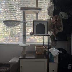 Cat Tree