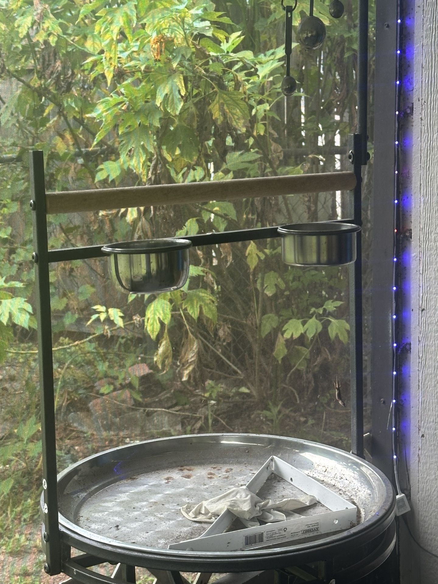Bird Holder