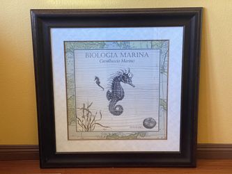 10 wooden picture frames