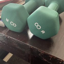 8 Pound Weights 