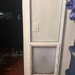 Doggy Door