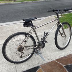 Alpina 501 Univega Mountain Bike.alpina
