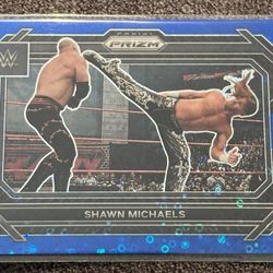SHAWN MICHAELS WWE  /25
