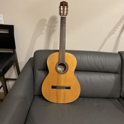 Ventura Bruno Acoustic Guitar