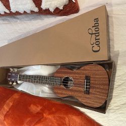Córdoba U1-M Concert Ukelele