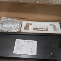 Brizo hand shower with bar