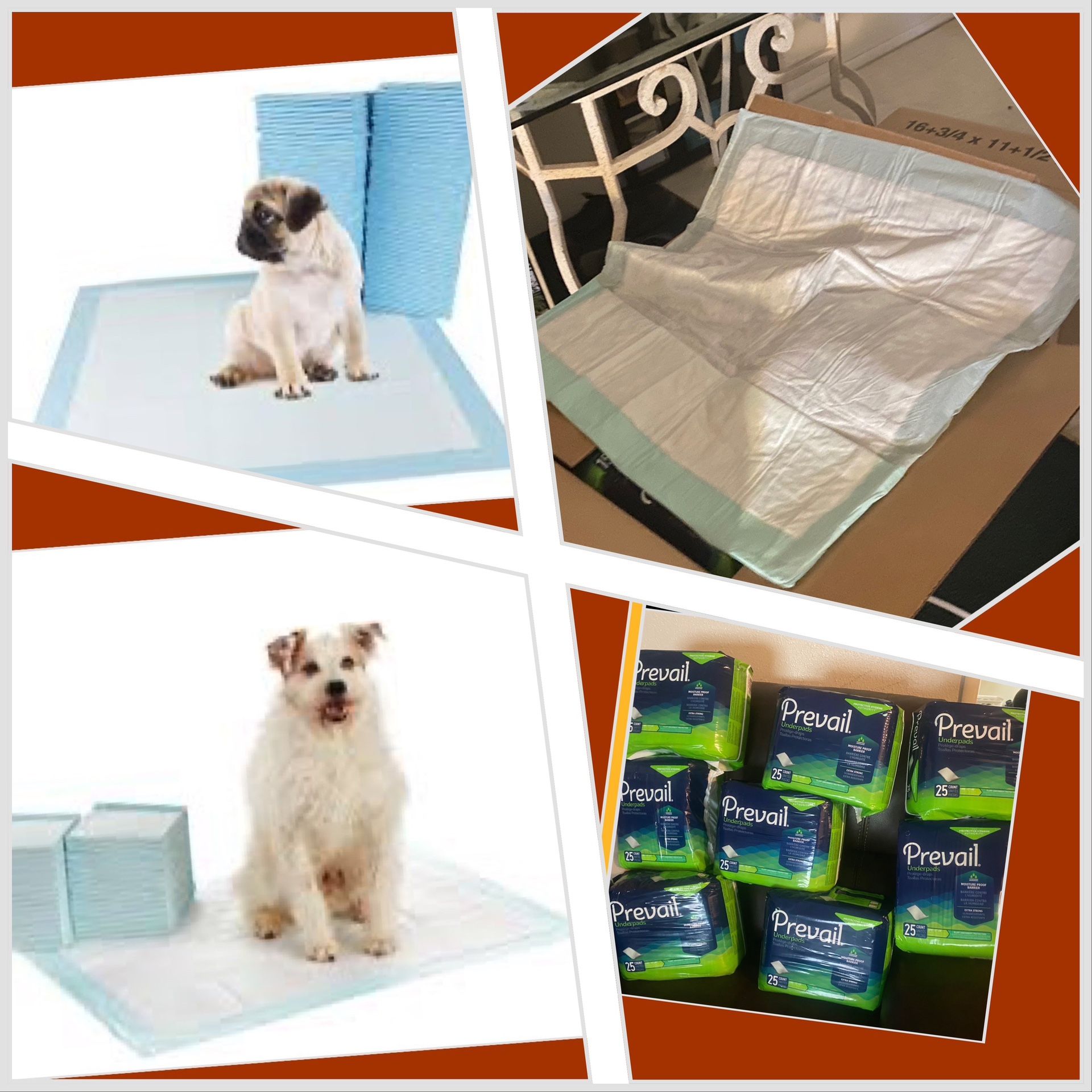 ๐๐ถ๐ถ๐พ/๐๐๏ธ 4 or 5 boxes available right now. 50 per box.--pick up in yakima.just $50 for 150 pads (1 box) size 36X23!!!. xtra large puppy pads/ b
