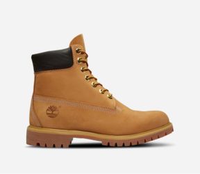 Timberland 6” premium waterproof Boots