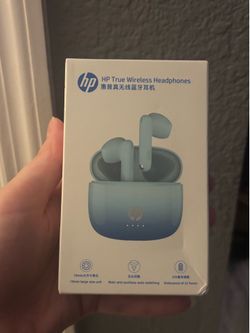 Head phones , ear buds