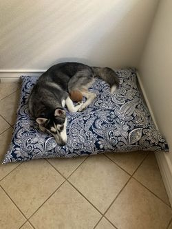 Dog bed