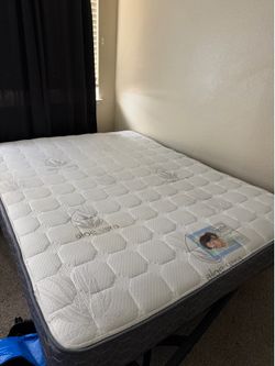 Queen Bed