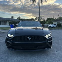 Ford Mustang Ecoboost 2023