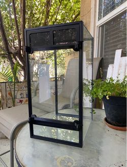 10 Gallon Terrarium