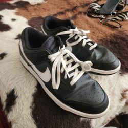 Dunk low  Mens 11