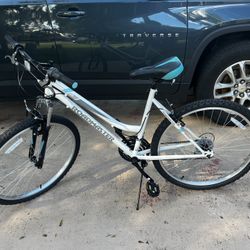 Roadmaster 26” Wheels