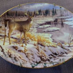 Bradford Exchange Collectible Plate “River Reflections”